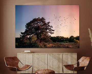 Vogels vliegen uit de boom, zonsondergang in Twente van Ratna Bosch