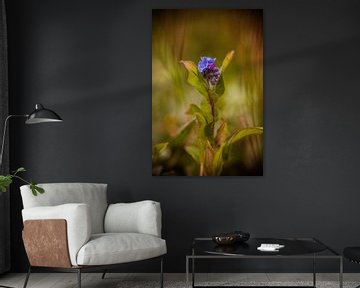 blauwe bloem als schilderij gefotografeerd 