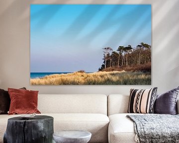Landscape on shore of the Baltic Sea. van Rico Ködder