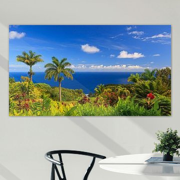 Garden of Eden, Maui, Hawaii by Henk Meijer Photography