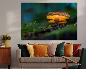 Mushroom in the Fairytale Forest by Celina Dorrestein