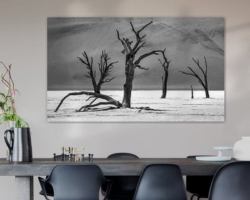 Deadvlei sur Photo Wall Decoration