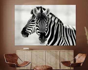 Black or white, Zebra's in Namibia by Photo Wall Decoration