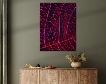 LEAF STRUCTURE RED VIOLET sur Pia Schneider