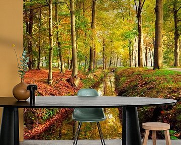 Forest in autumn by Corinne Welp