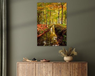 Forest in autumn by Corinne Welp