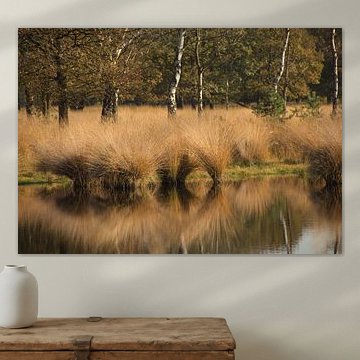 Zwaaiend in de spiegel