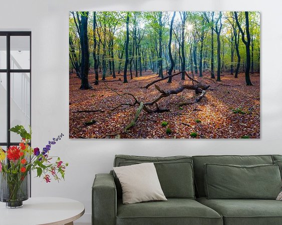 Aperçu de la chambre