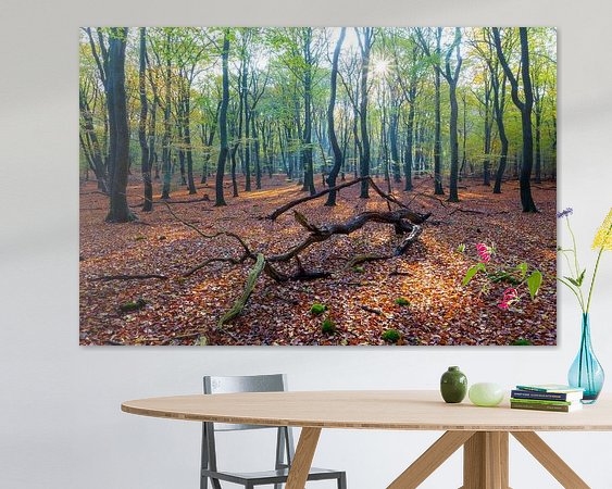 Aperçu de la chambre