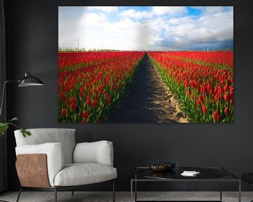 Rode velden in tulpenland. van Joris Pannemans - Loris Photography
