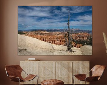 Bryce Canyon dead tree van Robert Dibbits