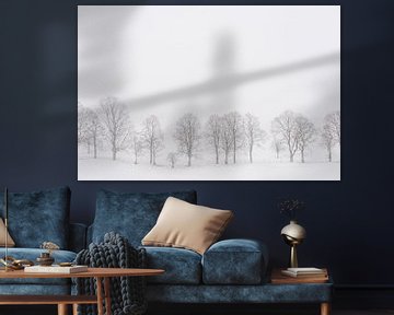 Bäume in einer weißen Landschaft während der Schneefälle von iPics Photography