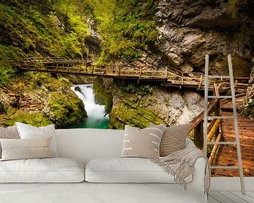 Vintgar Gorge kloof met houten vlonder in Slovenië van iPics Photography