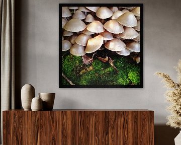 Mushrooms von Kuba Bartyński