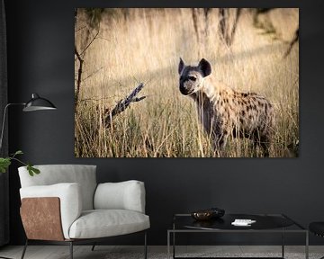 Gevlekte hyena in Zuid-Afrika van Marcel Alsemgeest
