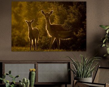 Two deer at sunset by Marcel Alsemgeest