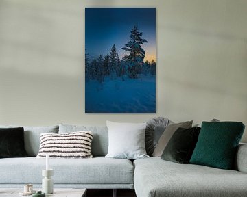 Wälder Finnland von Andy Troy