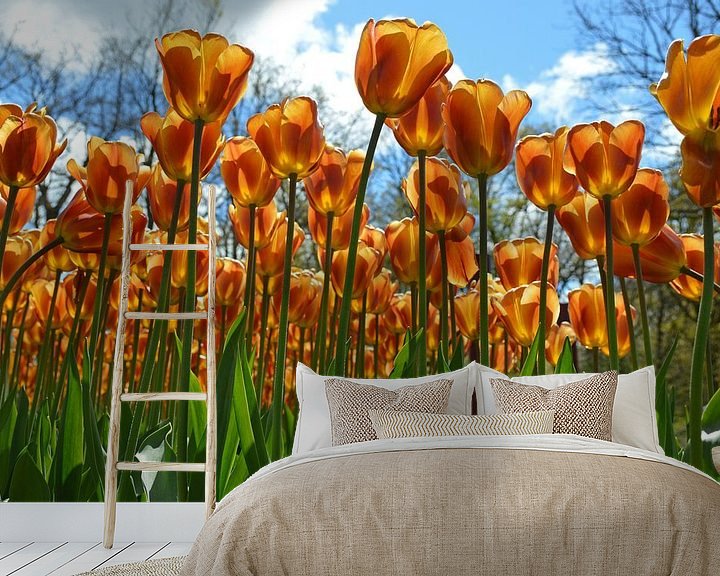 Sfeerimpressie behang: tulpen van Fraukje Vonk