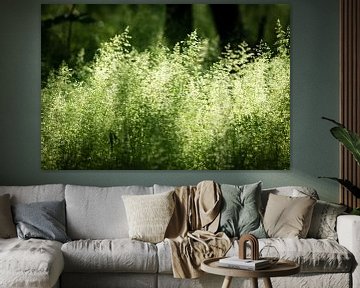 Groene planten in de zomer van Marcel Alsemgeest