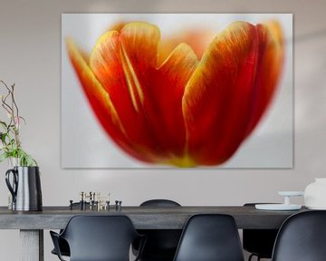 Tulp Schaal sur Paul Kampman