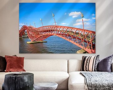 Pytonbrug in Amsterdam van Omri Raviv
