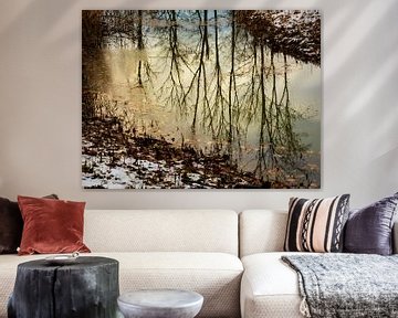 Herfstwinter in het water by Anneriek de Jong