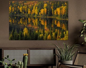 Autumn colors in Sweden by Jaap La Brijn