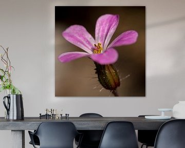Pink Flower von Jantien van Dam