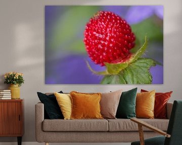 Strawberry sur Jantien van Dam