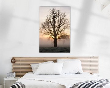 Silhouette eines kahlen Baumes im Morgennebel bei Sonnenaufgang von Leoniek van der Vliet