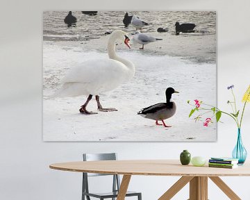 Zwaan en eend in de vijver by Nicky`s Prints