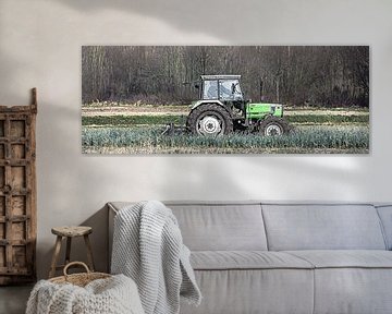 Photo panoramique d'un tracteur sur un champ de poireaux sur Fotografie Jeronimo