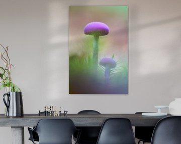 Twee paddenstoelen op mosgrond sur Mark Scheper