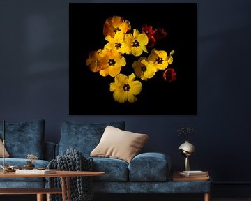 Gelbe Tulpen von Corinne Welp