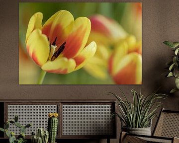 Tulpen | geel en oranje van Marianne Twijnstra-Gerrits