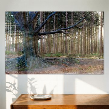 Bakkeveen the Magic Tree 