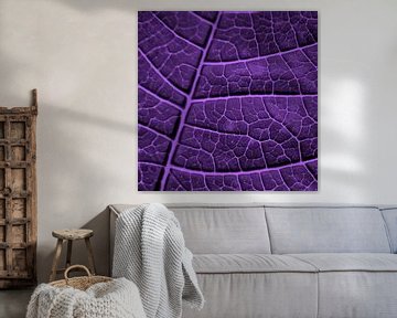 LEAF STRUCTURE ULTRAVIOLET no3 van Pia Schneider