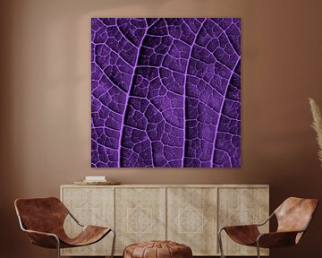 LEAF STRUCTURE ULTRAVIOLET no2 von Pia Schneider