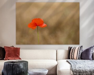 coquelicot sur Lia Hulsbeek Brinkman