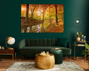 Étang forestier entouré de magnifiques couleurs d'automne sur Rob Kints