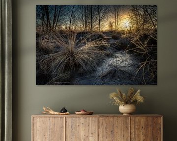 Wierdense veld zonsopkomst winter van Martijn van Steenbergen