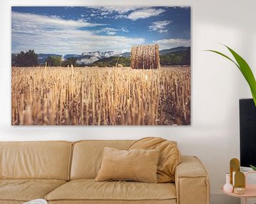 Paysage de montagne avec des champs remplis de balles de foin sur Fotografiecor .nl