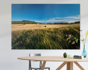 Typische französische Landschaft im Sommer mit Getreidefeldern