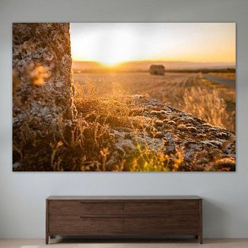 Intens warme zonsondergang op het platteland