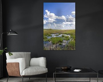 Texel duinlandschap / Texel dune landscape