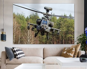 Amerikaanse Landmacht AH-64 Apache van Dirk Jan de Ridder
