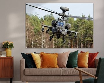US Army AH-64 Apache by Dirk Jan de Ridder - Ridder Aero Media