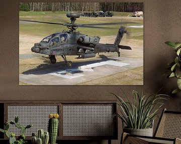 Amerikaanse Landmacht AH-64 Apache van Dirk Jan de Ridder - Ridder Aero Media