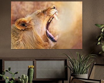 Gähnende Löwin, Südafrika