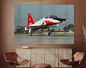 Turkish Air Force T-38 Talon by Dirk Jan de Ridder - Ridder Aero Media